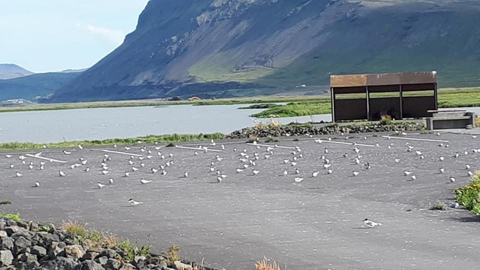 Bikers Paradise Olafsvik Bagian luar foto